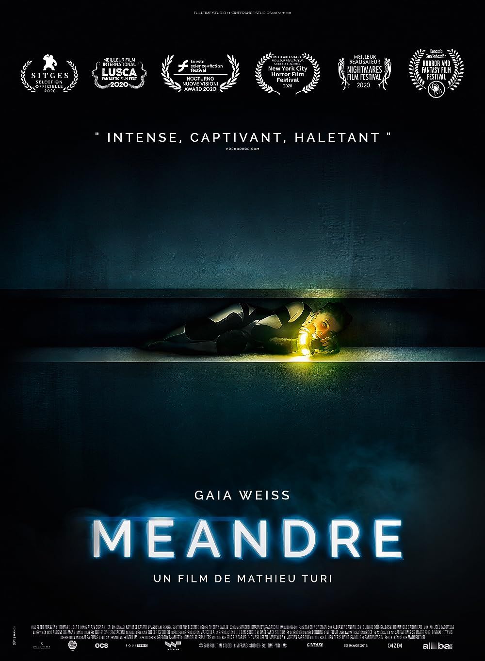 Meander (2020) Hindi Dubbed ORG BluRay Full Movie 720p 480p