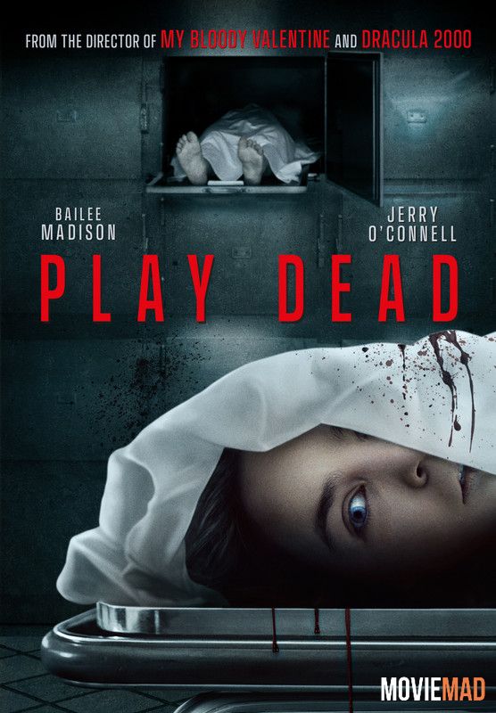 Play Dead (2022) Hindi Dubbed ORG HDRip AMZN Full Movie 720p 480p