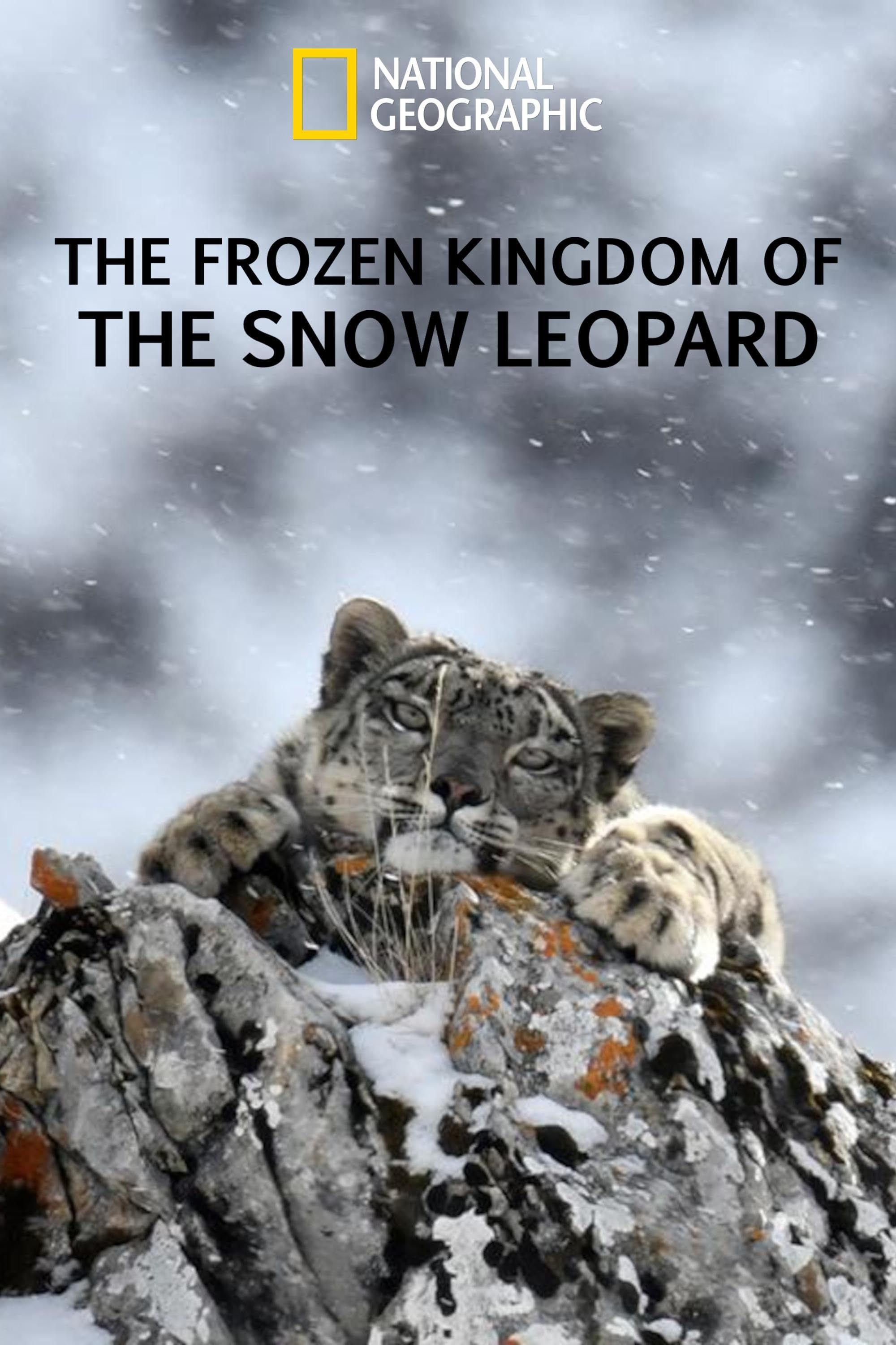The Frozen Kingdom of the Snow Leopard (2021) Hindi Dubbed ORG HDRip Full Movie 720p 480p